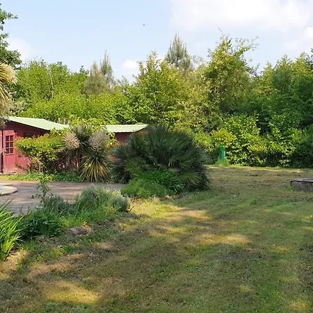 Maison Au Calme Avec Piscine Vertheuil-en-Medoc