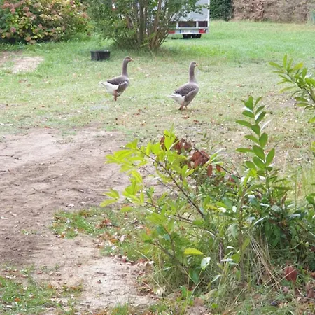 Maison Au Calme Avec Piscine Дом отдыха Vertheuil-en-Medoc
