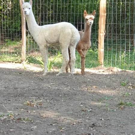 Maison Au Calme Avec Piscine Дом отдыха Vertheuil-en-Medoc