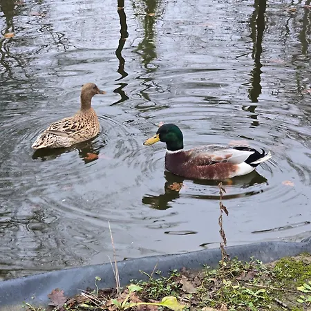 Maison Au Calme Avec Piscine Дом отдыха Vertheuil-en-Medoc