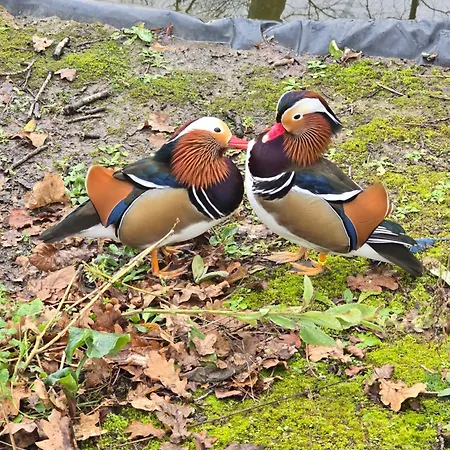 Maison Au Calme Avec Piscine *